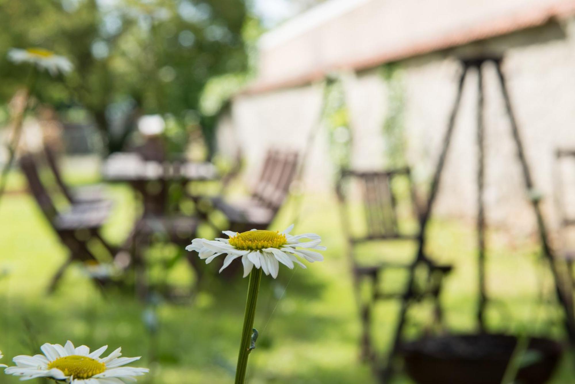 Au Bonheur Des Retrouvailles Hotel Denonville Екстериор снимка